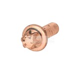 BOUT MET ZESKANTKOP M8X25